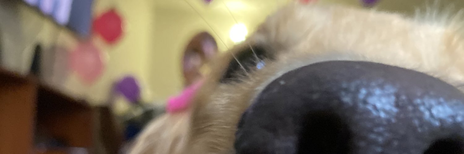 Valemoreno2812's profile banner image