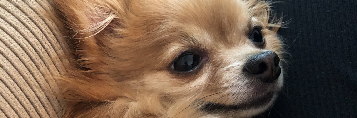 marisapples's profile banner image
