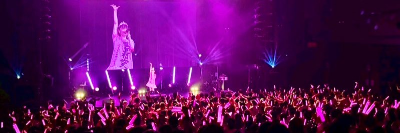 Pinknoameba's profile banner image