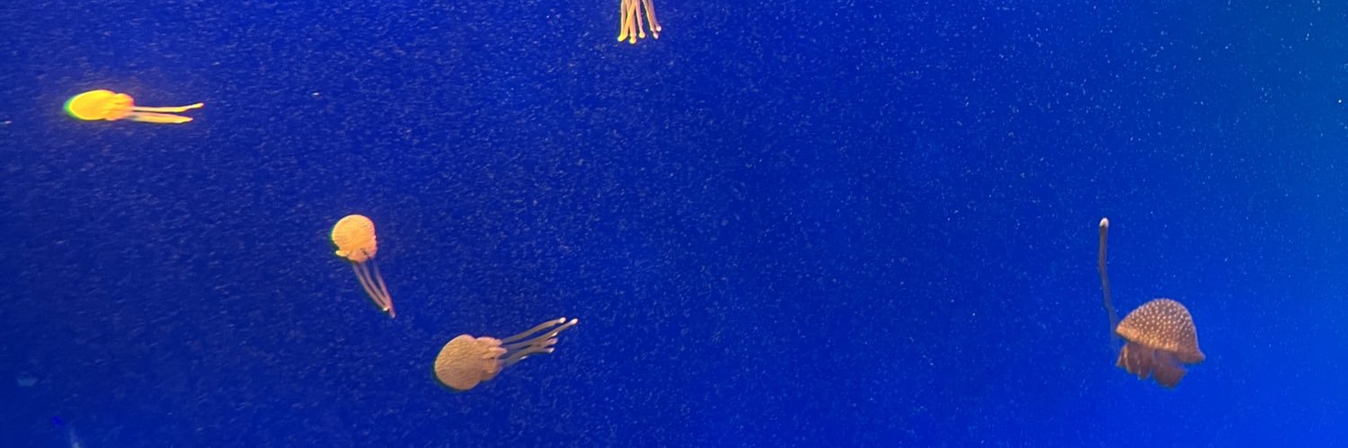 CantonMon's profile banner image