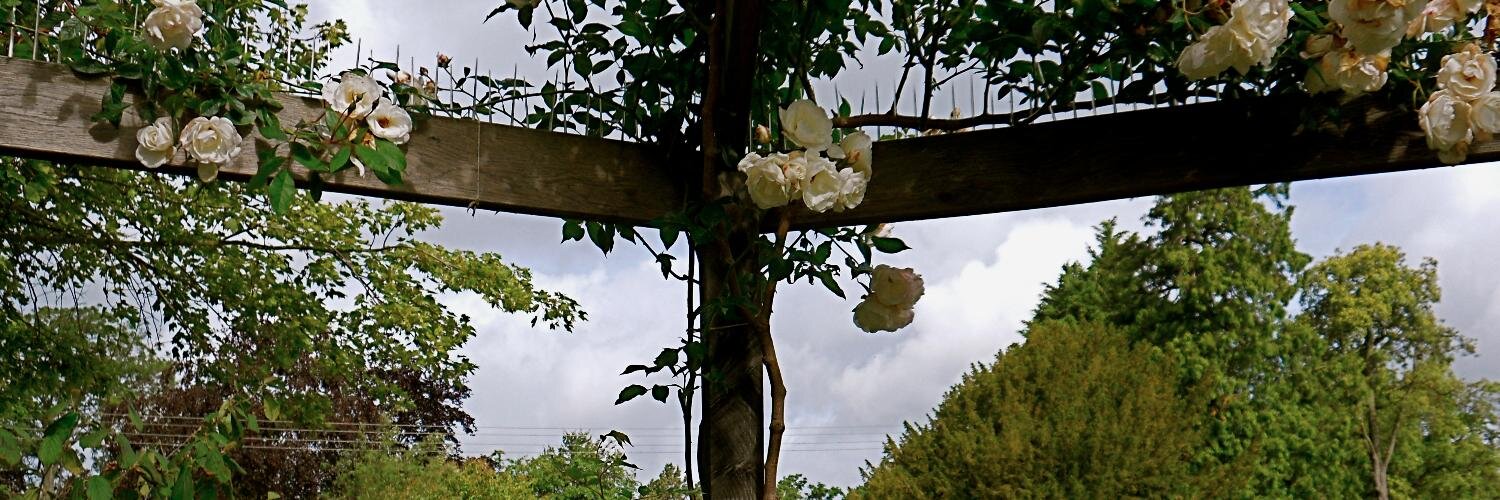 abdallahelchami's profile banner image