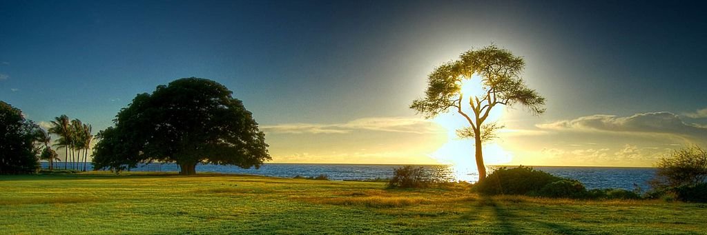 Amazing Pictures's banner