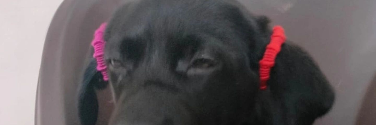 Devashish Patil banner