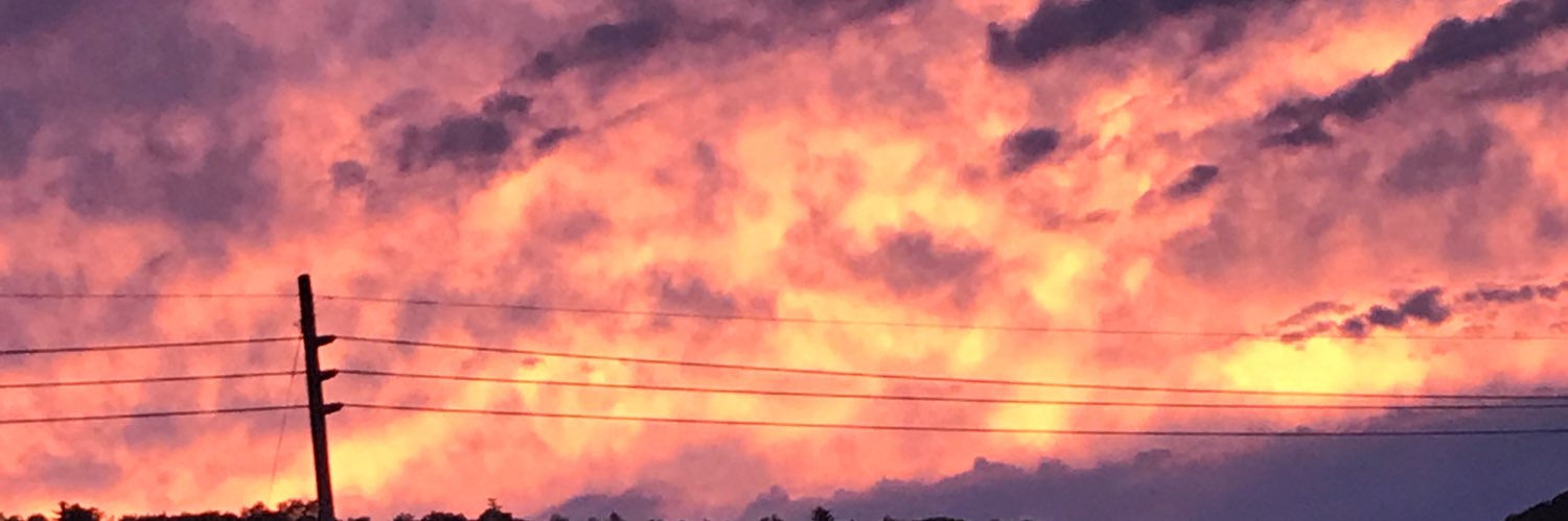 HeatherLynne66's profile banner image