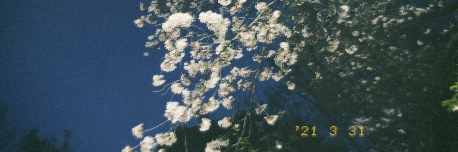 kiku3939's profile banner image