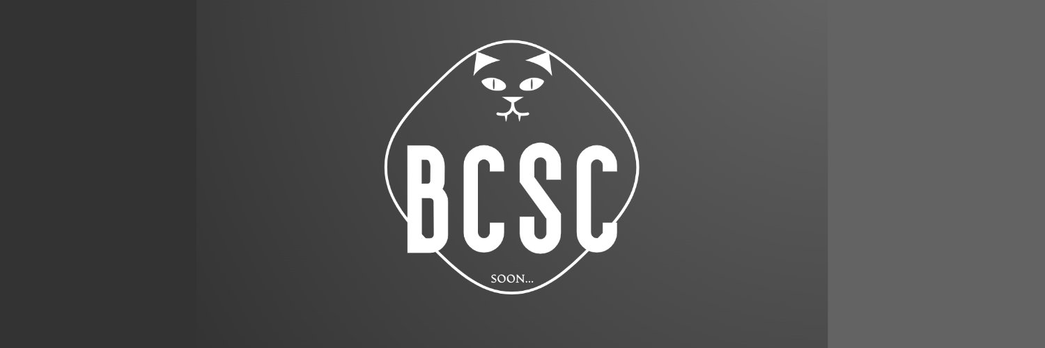 BoredCatSC's profile banner image