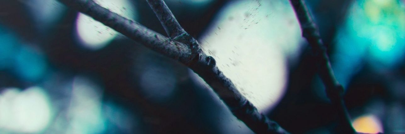 SergiMarinC's profile banner image