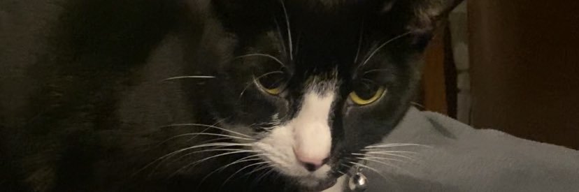 andrellegh's profile banner image