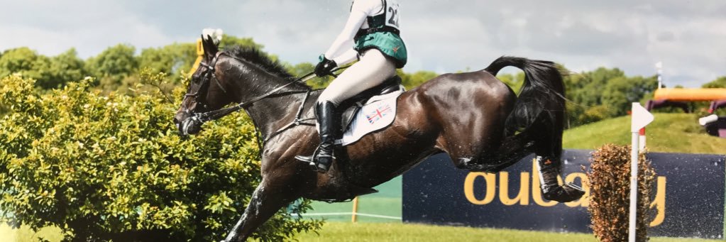 Pumbaa Goess-Saurau banner