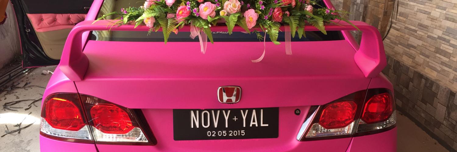 novyandanii's profile banner image