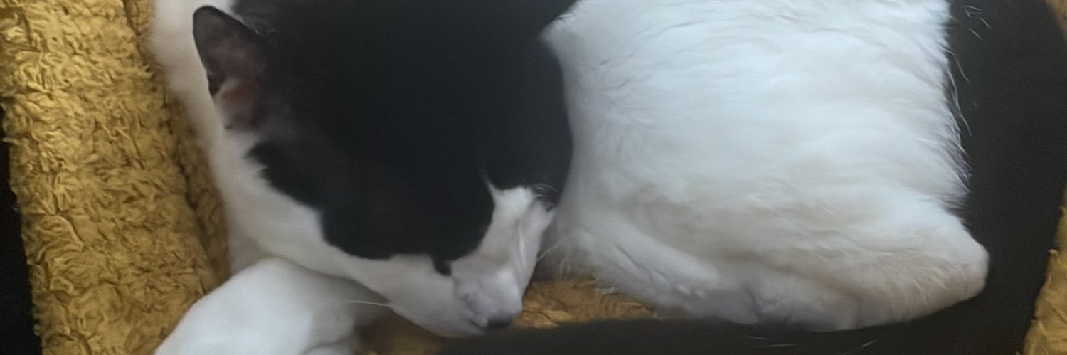 cousinyed's profile banner image