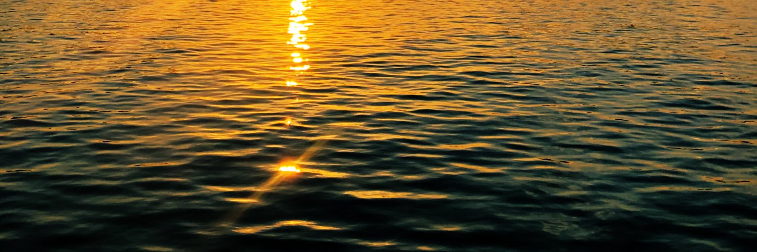 畑マヒ＠FANBOX始めました‼️ banner