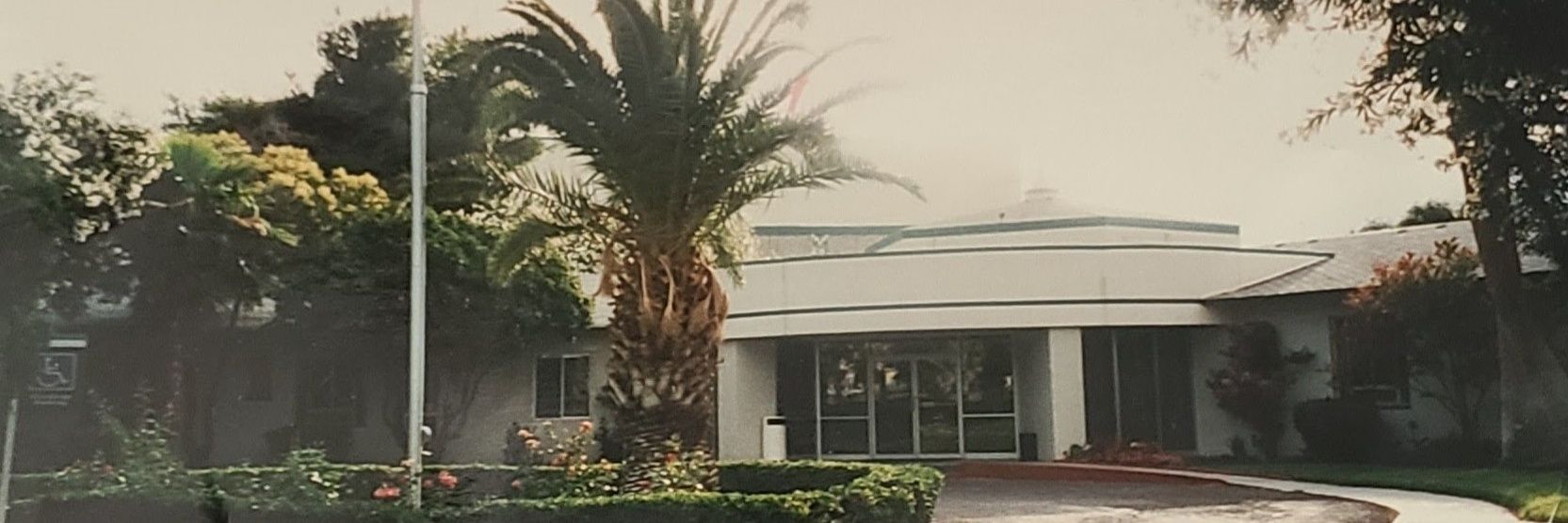 Michael J Chappell banner