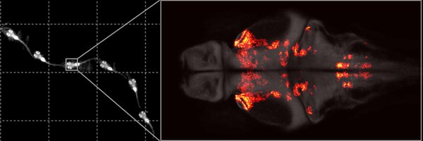 rolilab Profile Banner