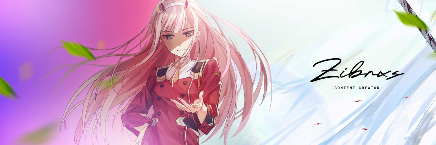 Zi banner