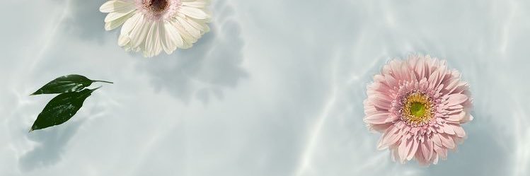 pusindira's profile banner image