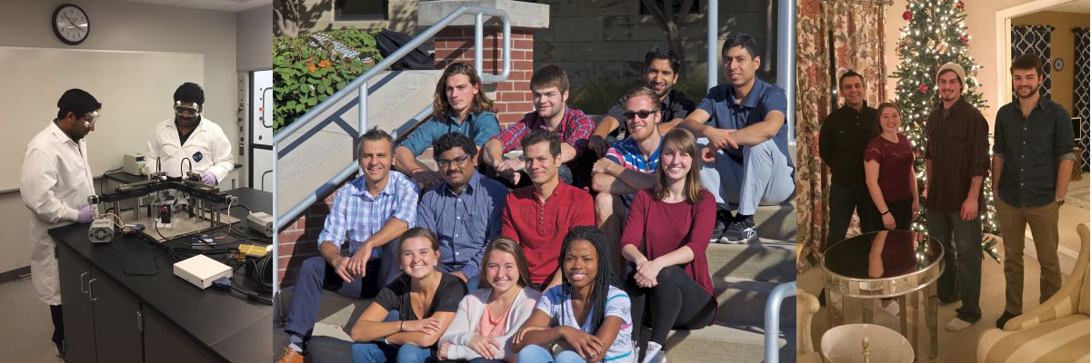 Rouzbeh Amini banner