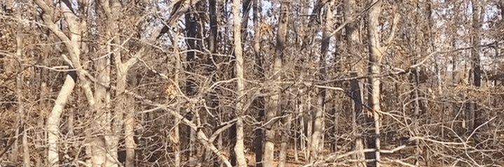 mdmoonpie's profile banner image