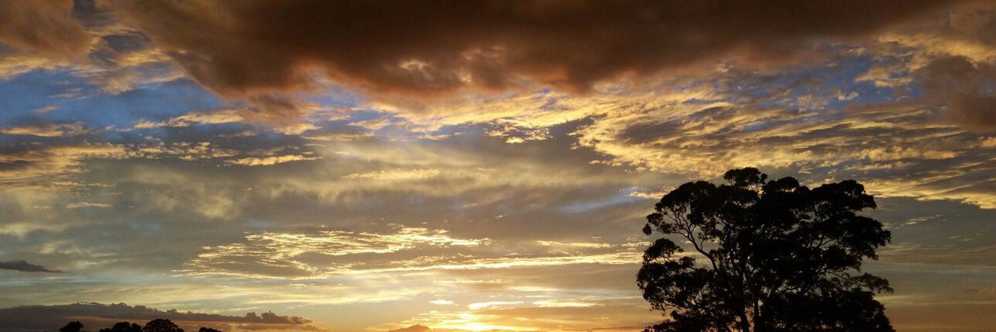 Betne's profile banner image