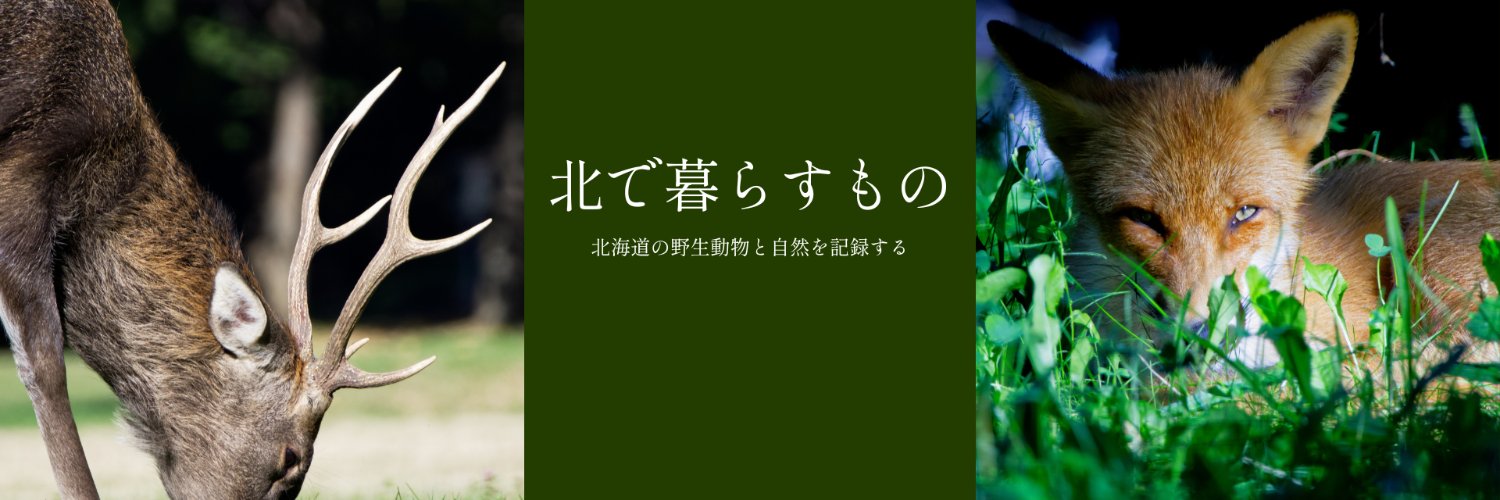 Jafro_13's profile banner image