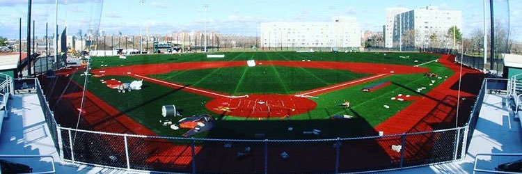 Alex Carusotto banner