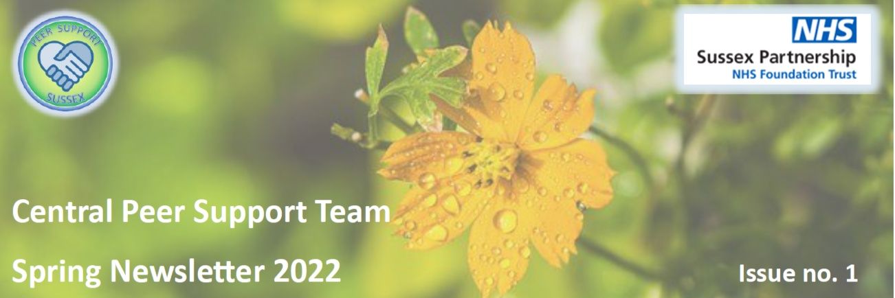 Central Peer Support Team banner