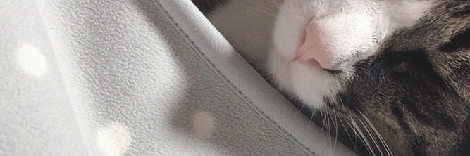 a___uu31's profile banner image
