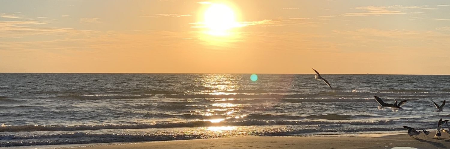 mjramon1's profile banner image