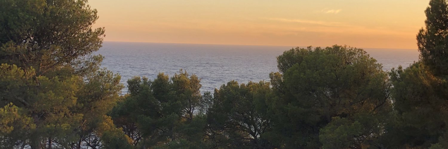 FlrDlls's profile banner image