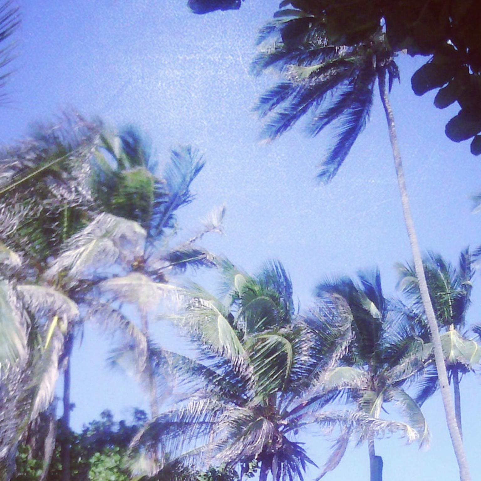 _BambiAY's profile banner image