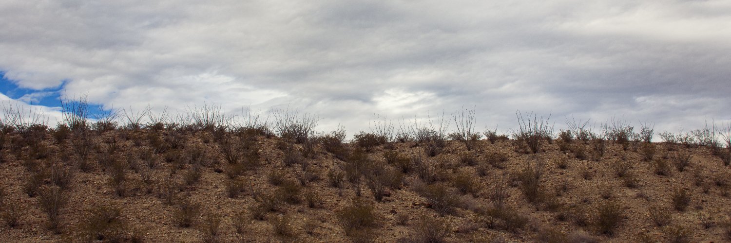 Mesilla Valley Film Society @ Fountain Theatre banner
