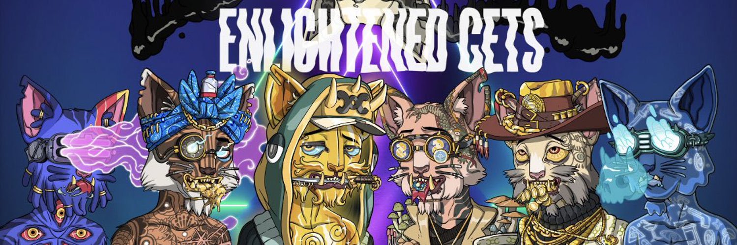 solcar313.eth banner