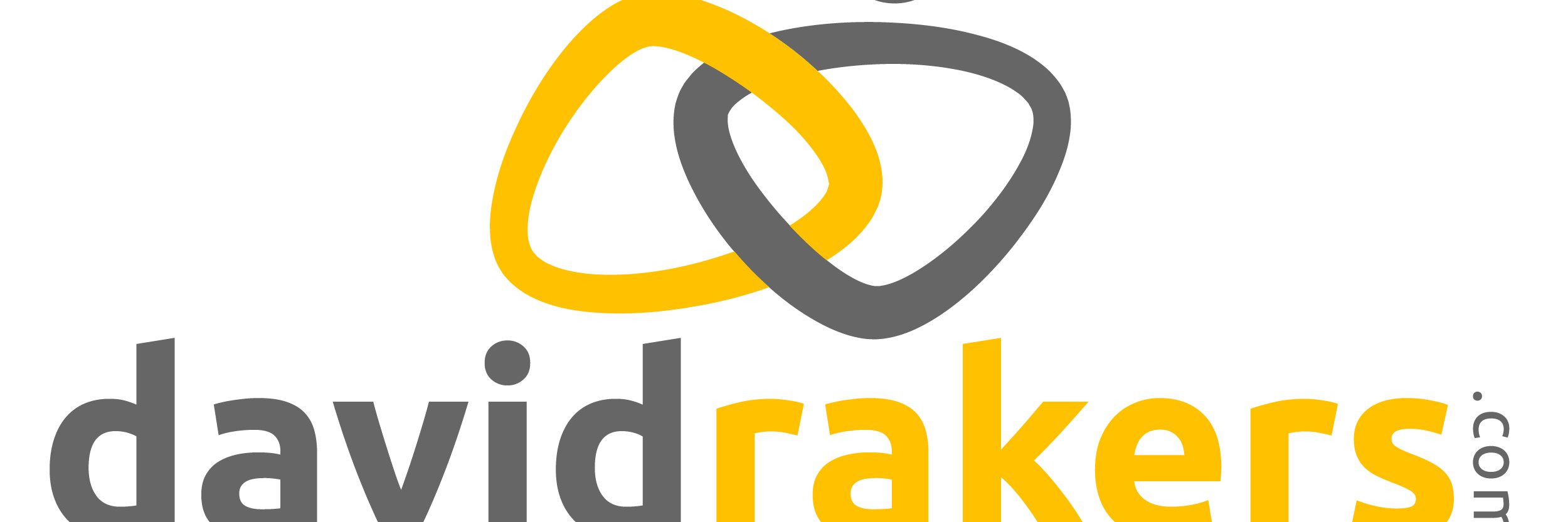 davidrakerscom's profile banner image