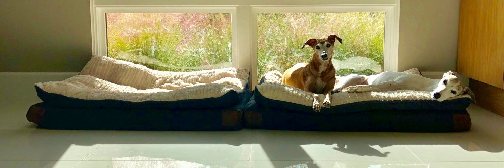 Gary Armstrong banner