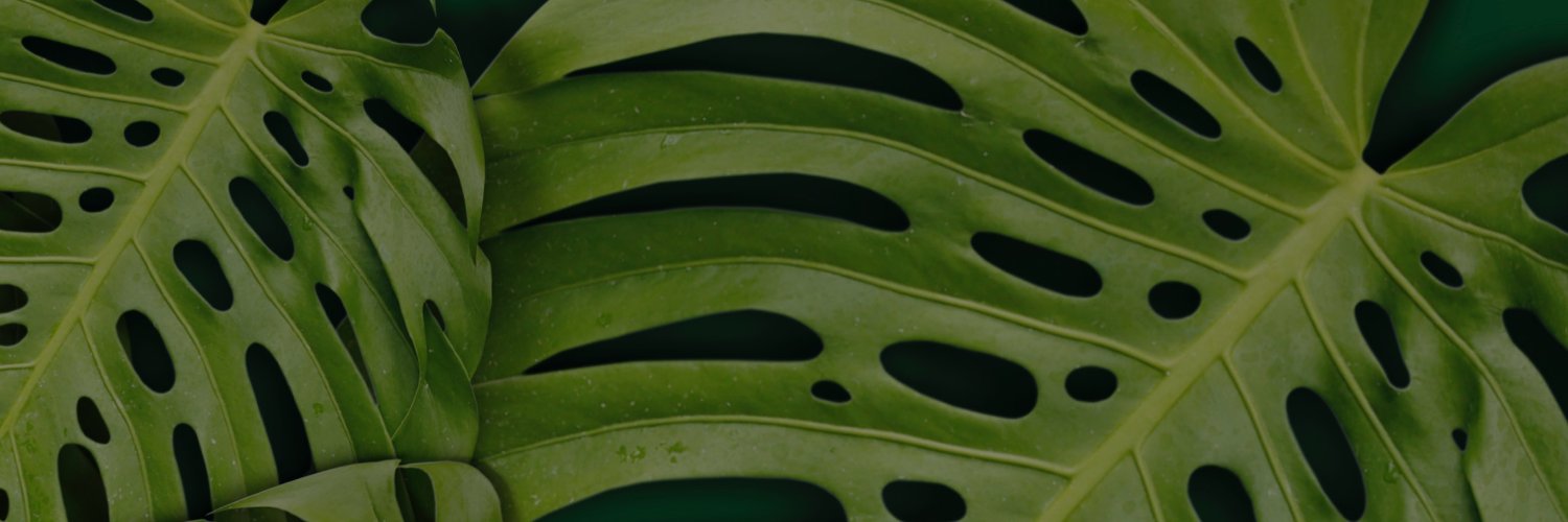 chfhrqlkt's profile banner image