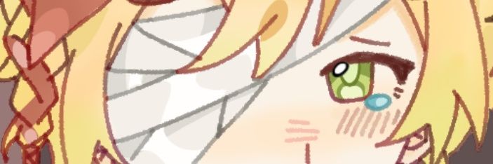 傻逗shadow's banner