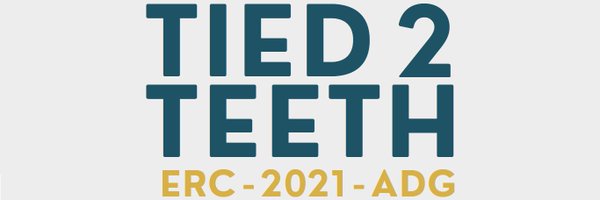 Tied2Teeth Profile Banner