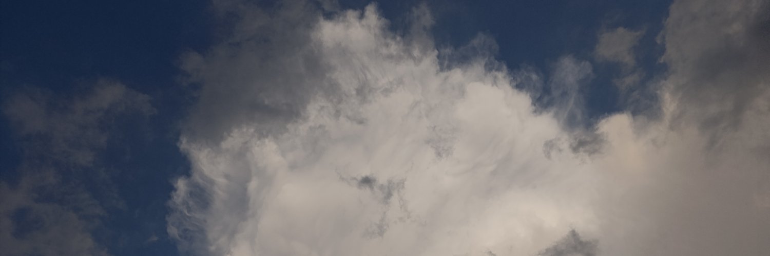 osssvl's profile banner image