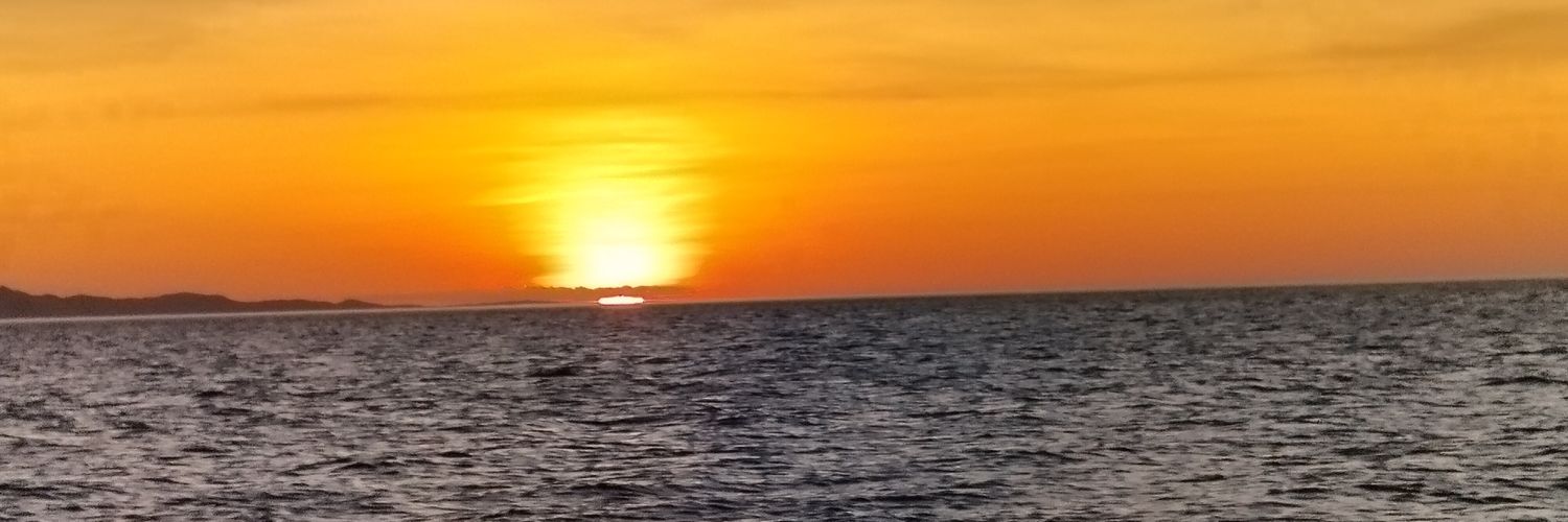 WildNorth 🇰🇪 banner