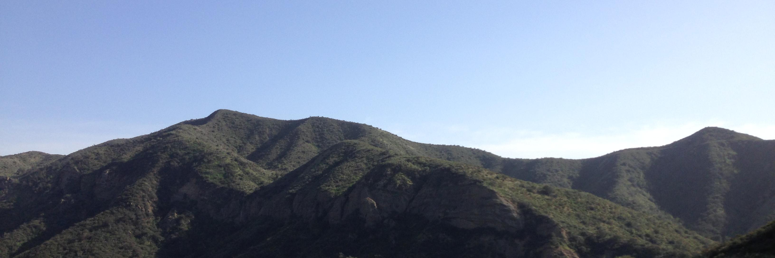 Rebecca Fordon banner