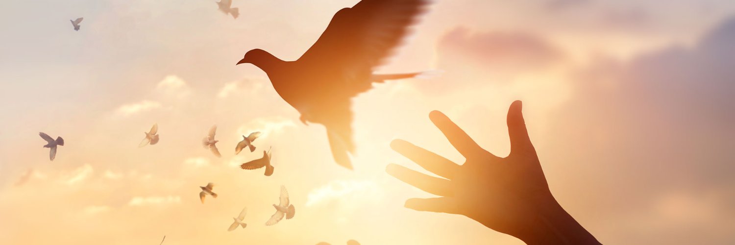 Lyne-Marie Mathieu banner