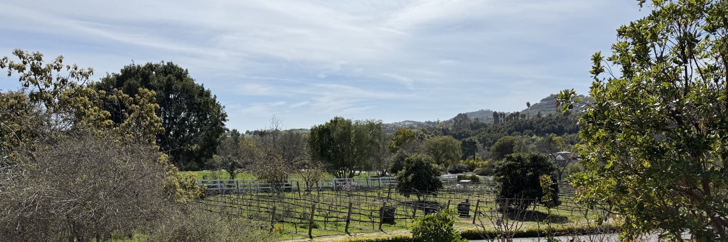 🇨🇦EnergyisEverywhere🇮🇪🇬🇧🇲🇽 banner