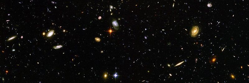 Callum Donnan banner