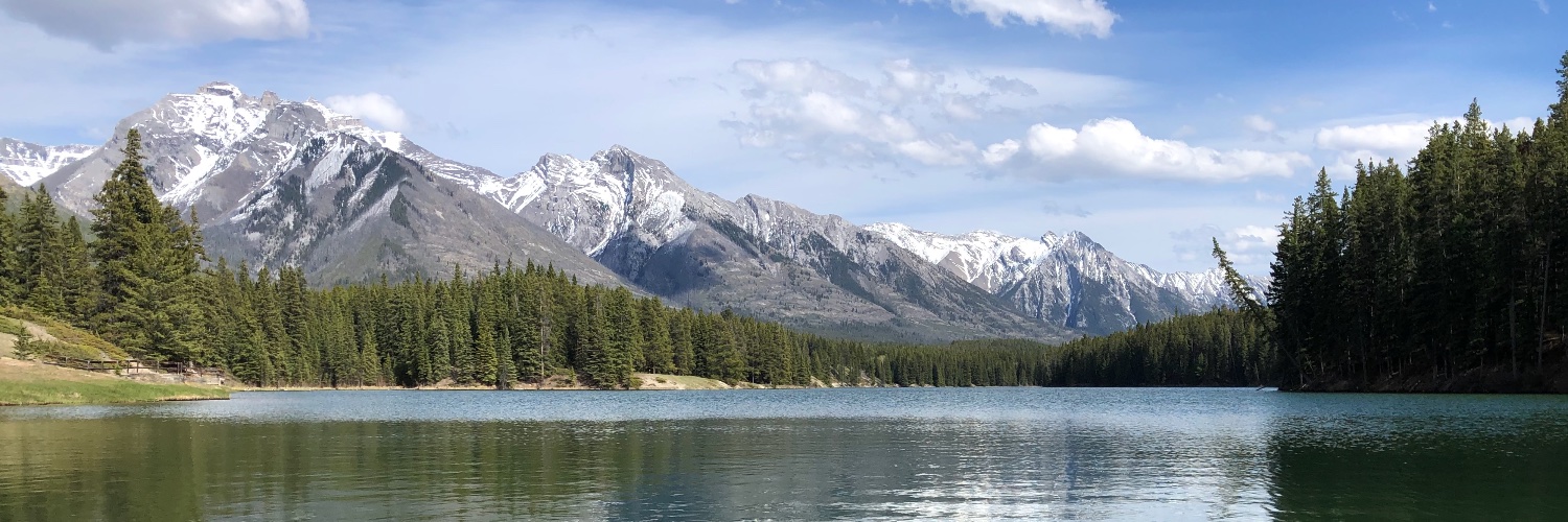 CLIMA :: CLimate IMpact Auctions banner