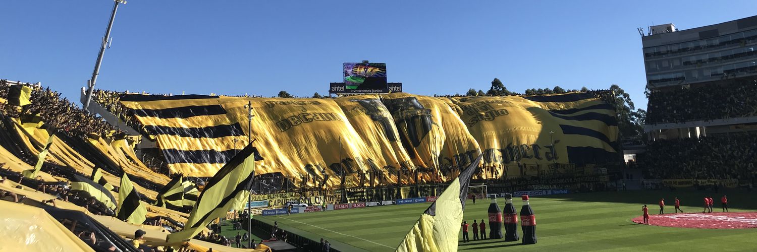 matiu1891's profile banner image
