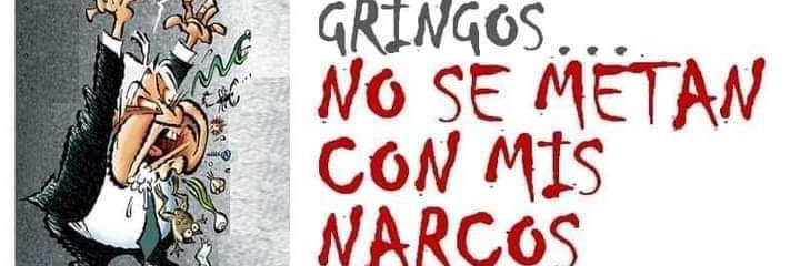Gatito remilgoso 😹 banner