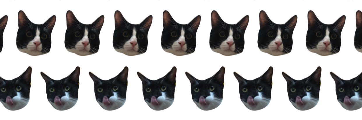 Dıgıdık Raşit ve Pişo banner