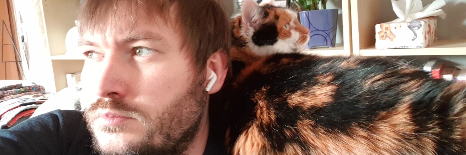 JackTheQuila's profile banner image