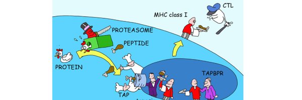 MikeHoganPhD Profile Banner