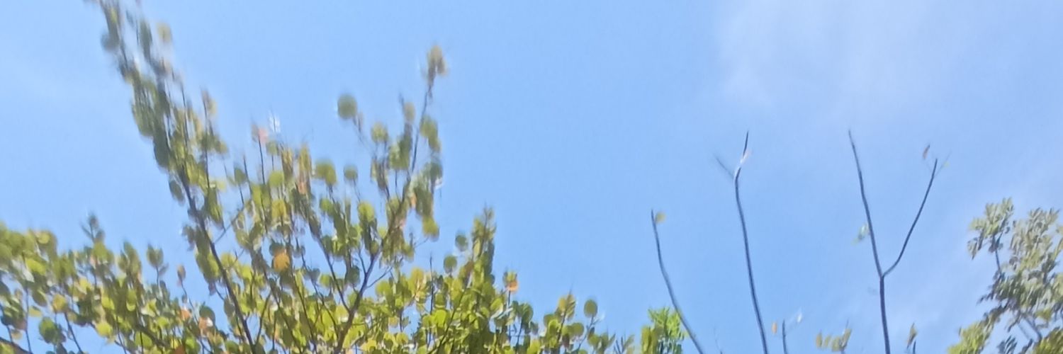 Markokucing's profile banner image